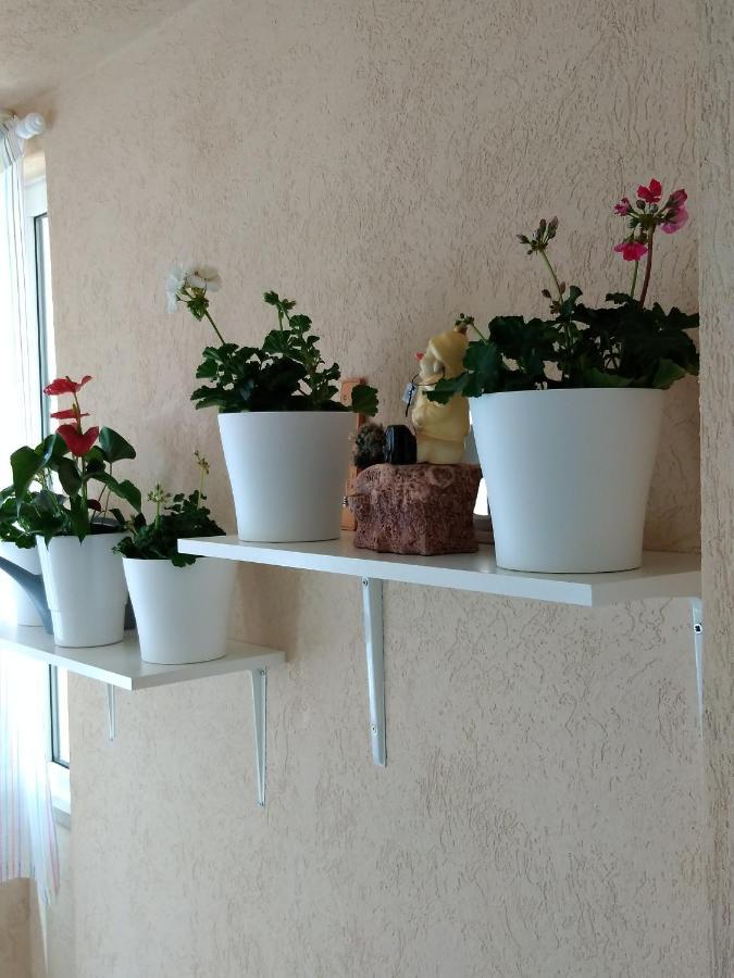 Heart Of Makarska Apartment ภายนอก รูปภาพ